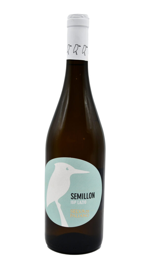 Semillon