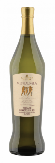 Vindemia Verdicchio dei Castelli di Jesi DOC Classico