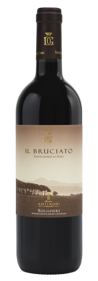 Il Bruciato 2022 Bolgheri DOC