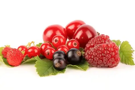 Frutti di bosco