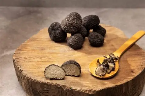 Tartufi